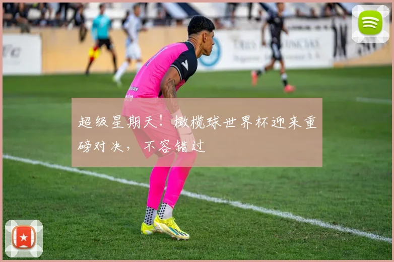 超级星期天！橄榄球世界杯迎来重磅对决，不容错过